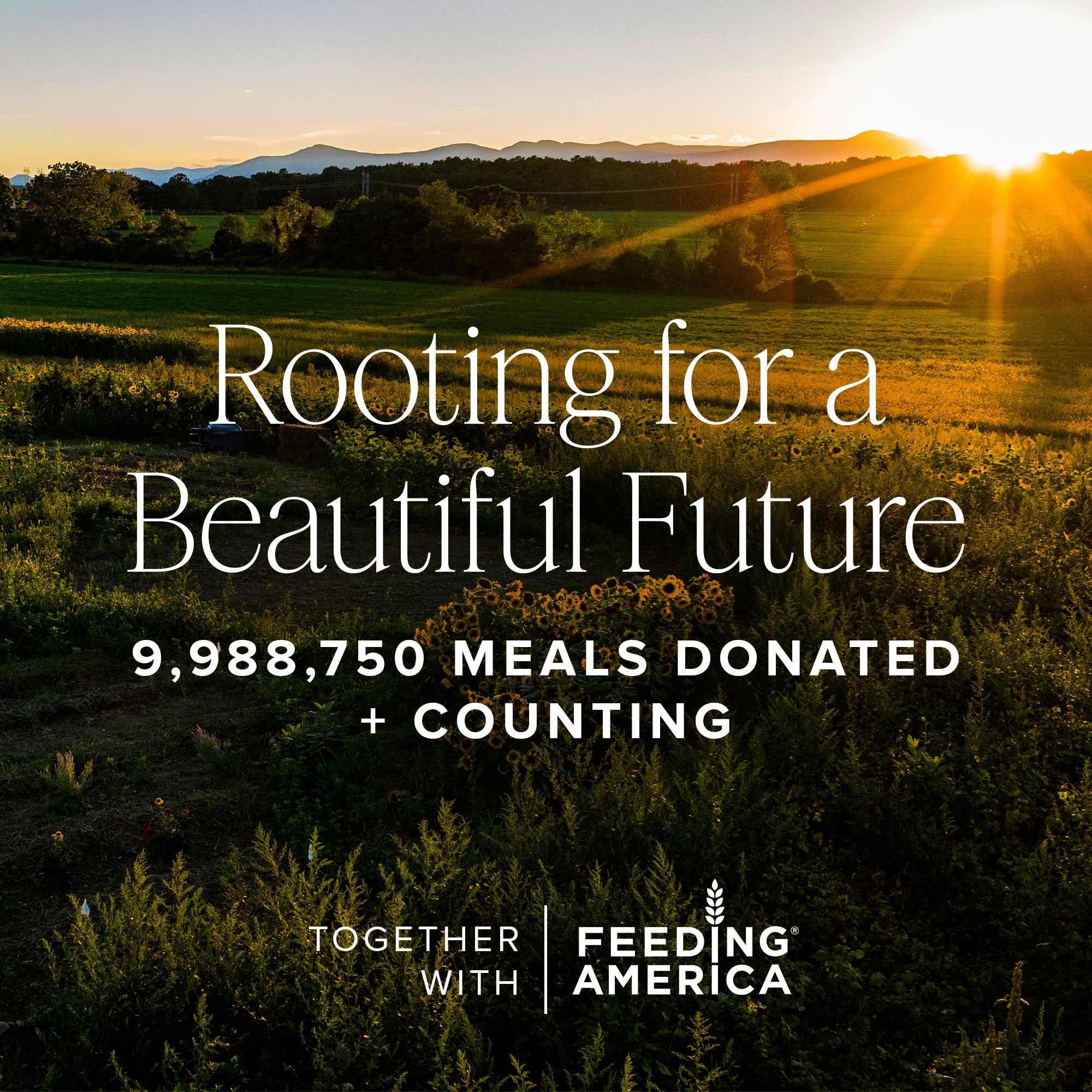 Bright On 10% Waterless Vitamin C Serum - Image 8