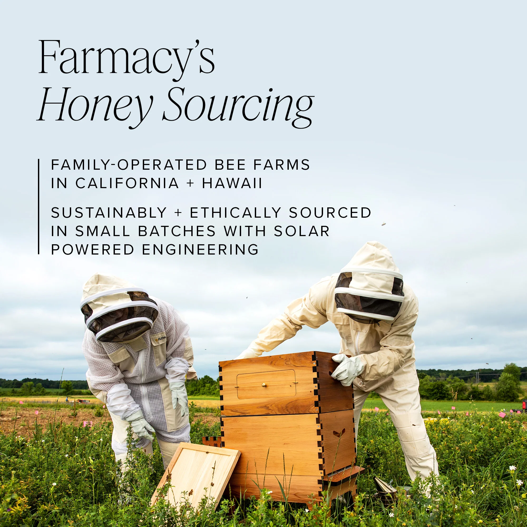 Honey Halo - Image 9