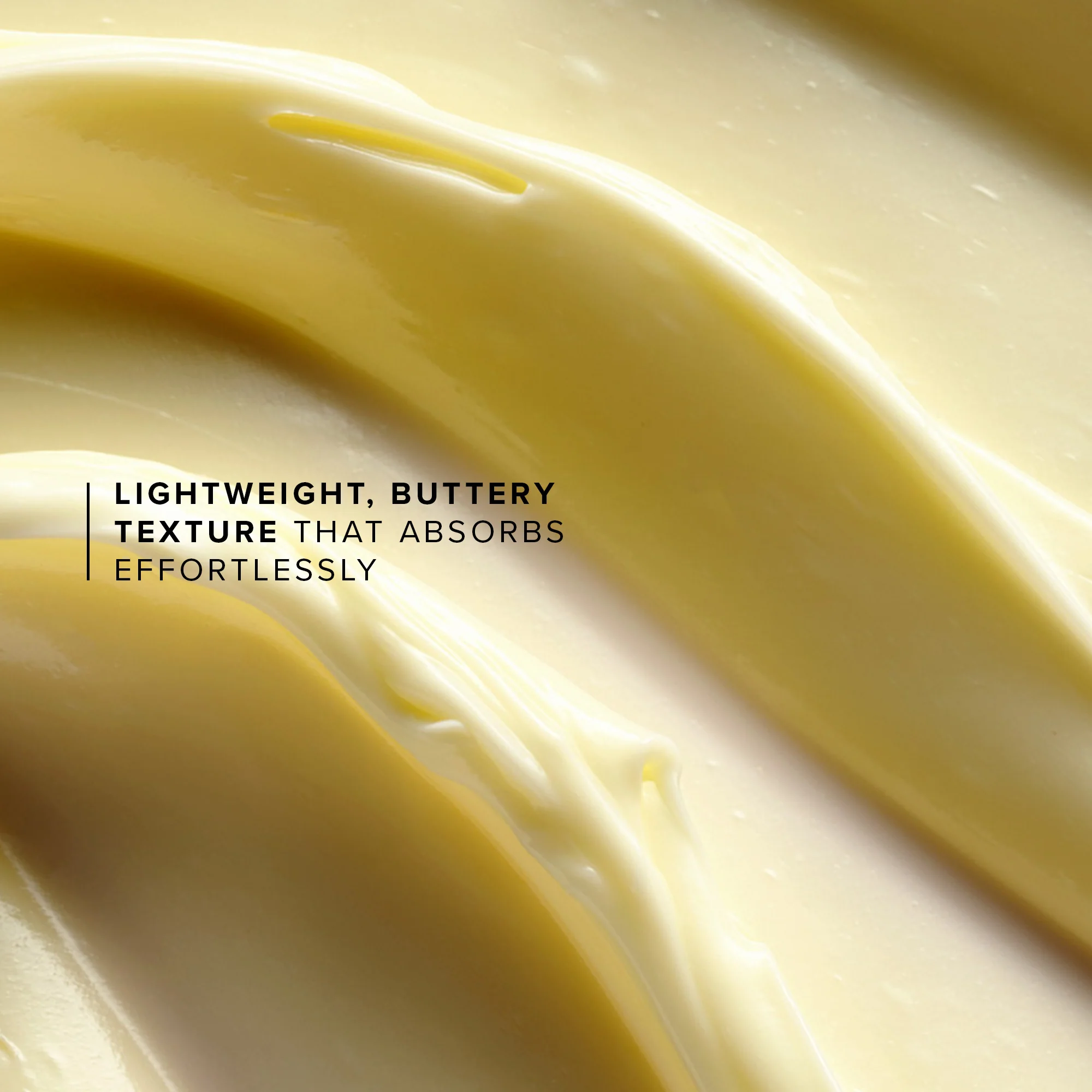 Honey Halo - Image 7